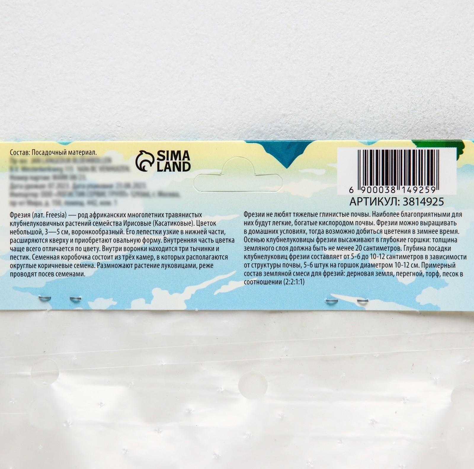 Фрезия махровая Микс, р-р 7/8, 7 шт