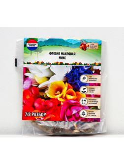 Фрезия махровая Микс, р-р 7/8, 7 шт
