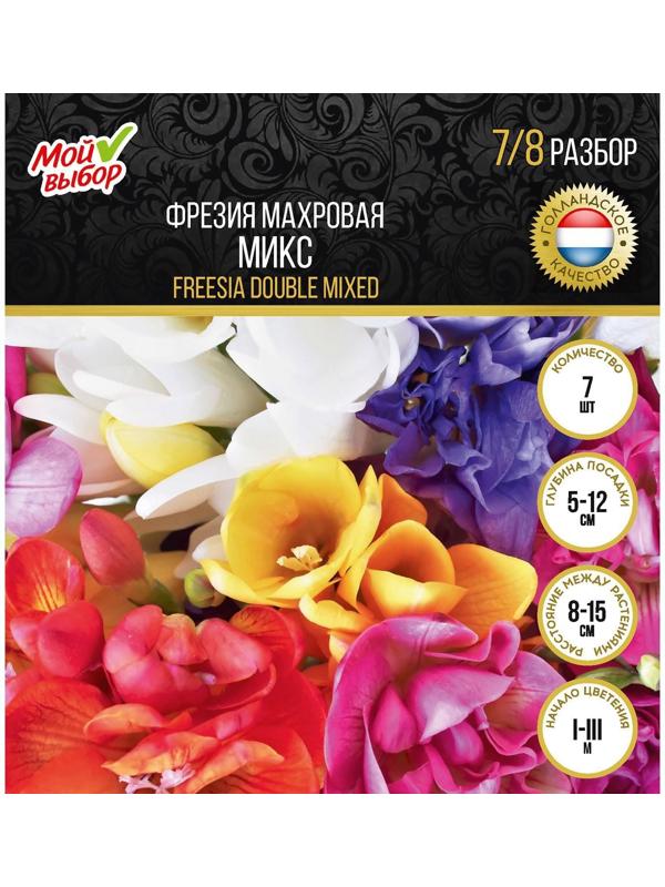 Фрезия махровая Микс, р-р 7/8, 7 шт