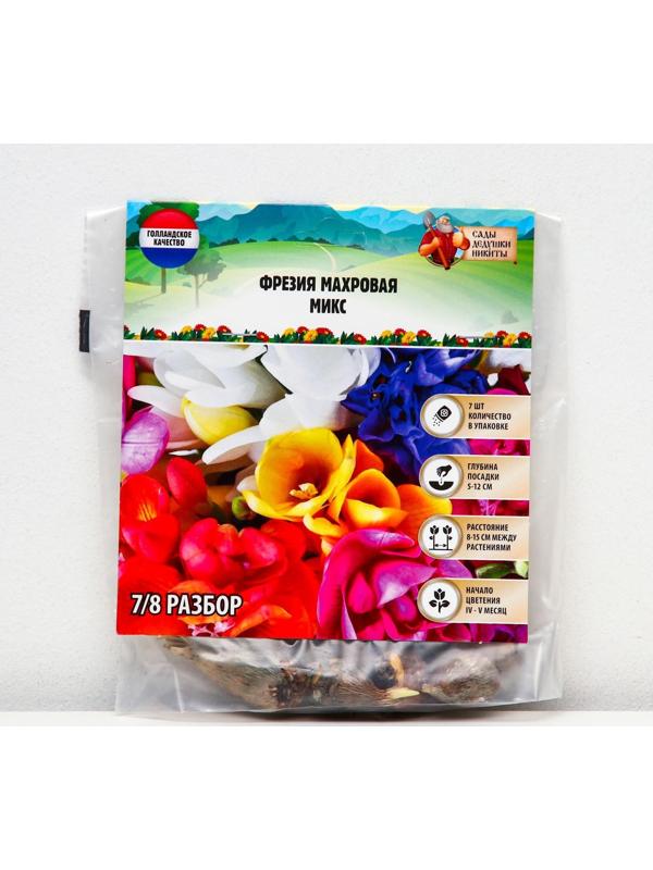 Фрезия махровая Микс, р-р 7/8, 7 шт