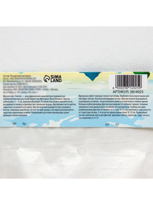 Фрезия махровая Микс, р-р 7/8, 7 шт