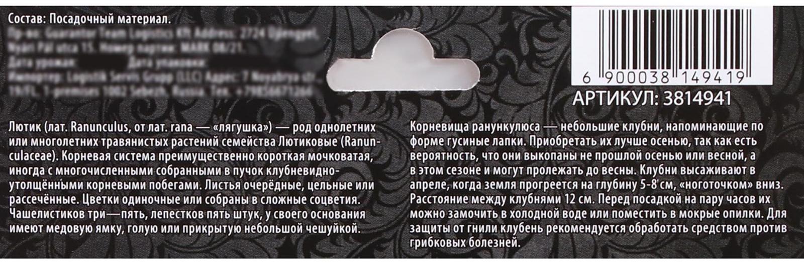 Ранункулюс (Лютик) Ред, р-р 7/8, 7 шт