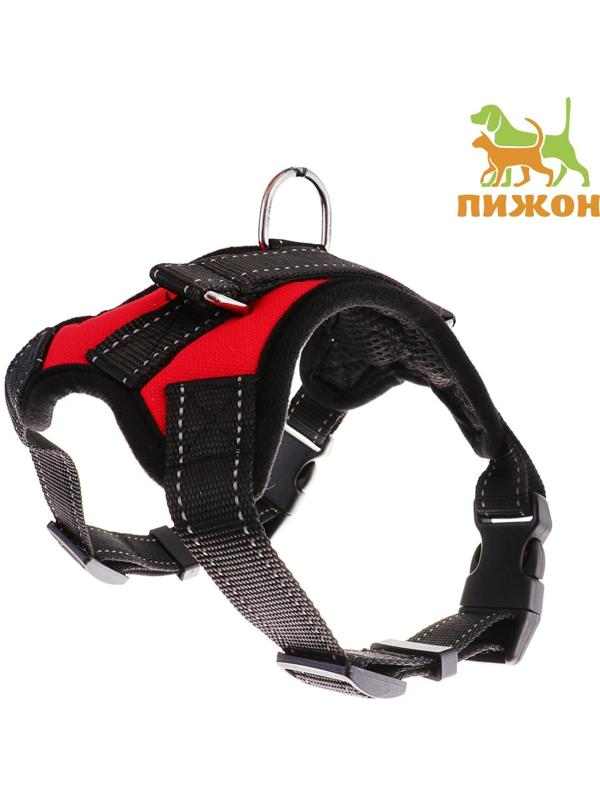 Шлейка мягкая со светоотражающими элементами, размер S (ОШ 29-31 см, ОГ 37-45 см), красная