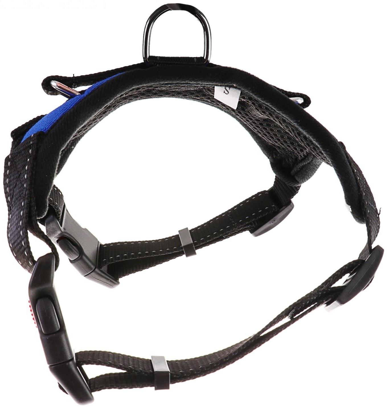 Шлейка мягкая со светоотражающими элементами, размер S (ОШ 29-31 см, ОГ 37-45 см), синяя