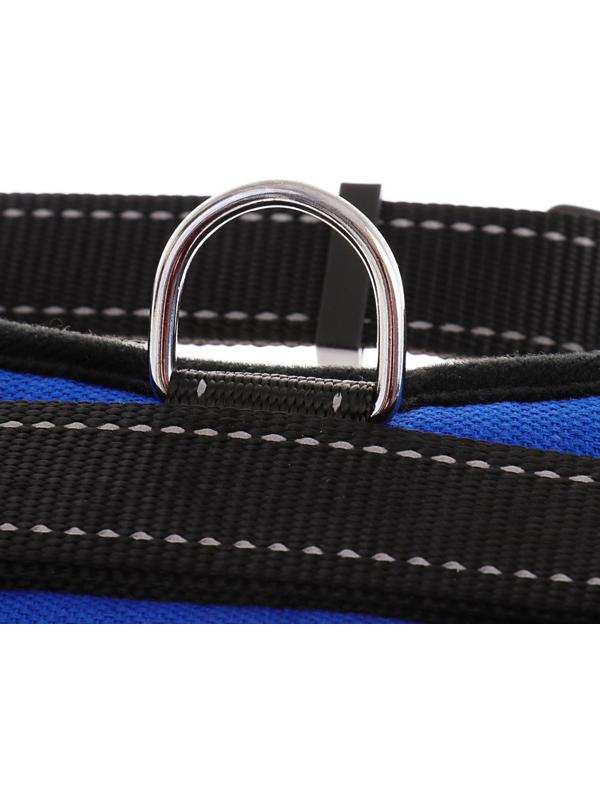 Шлейка мягкая со светоотражающими элементами, размер S (ОШ 29-31 см, ОГ 37-45 см), синяя