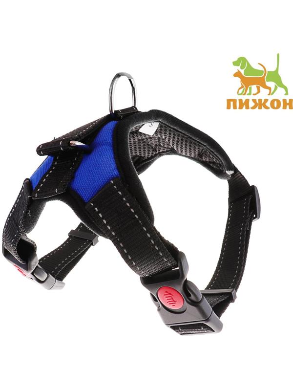 Шлейка мягкая со светоотражающими элементами, размер S (ОШ 29-31 см, ОГ 37-45 см), синяя