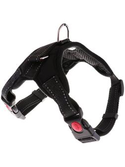 Шлейка мягкая со светоотражающими элементами, размер S (ОШ 29-31 см, ОГ 37-45 см), чёрная