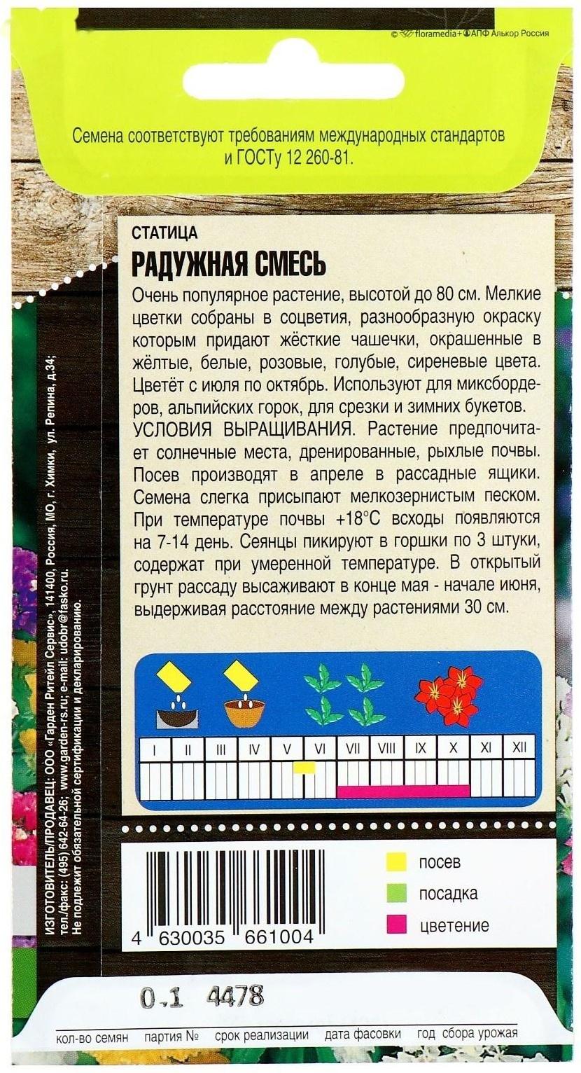 Семена цветов Статица 