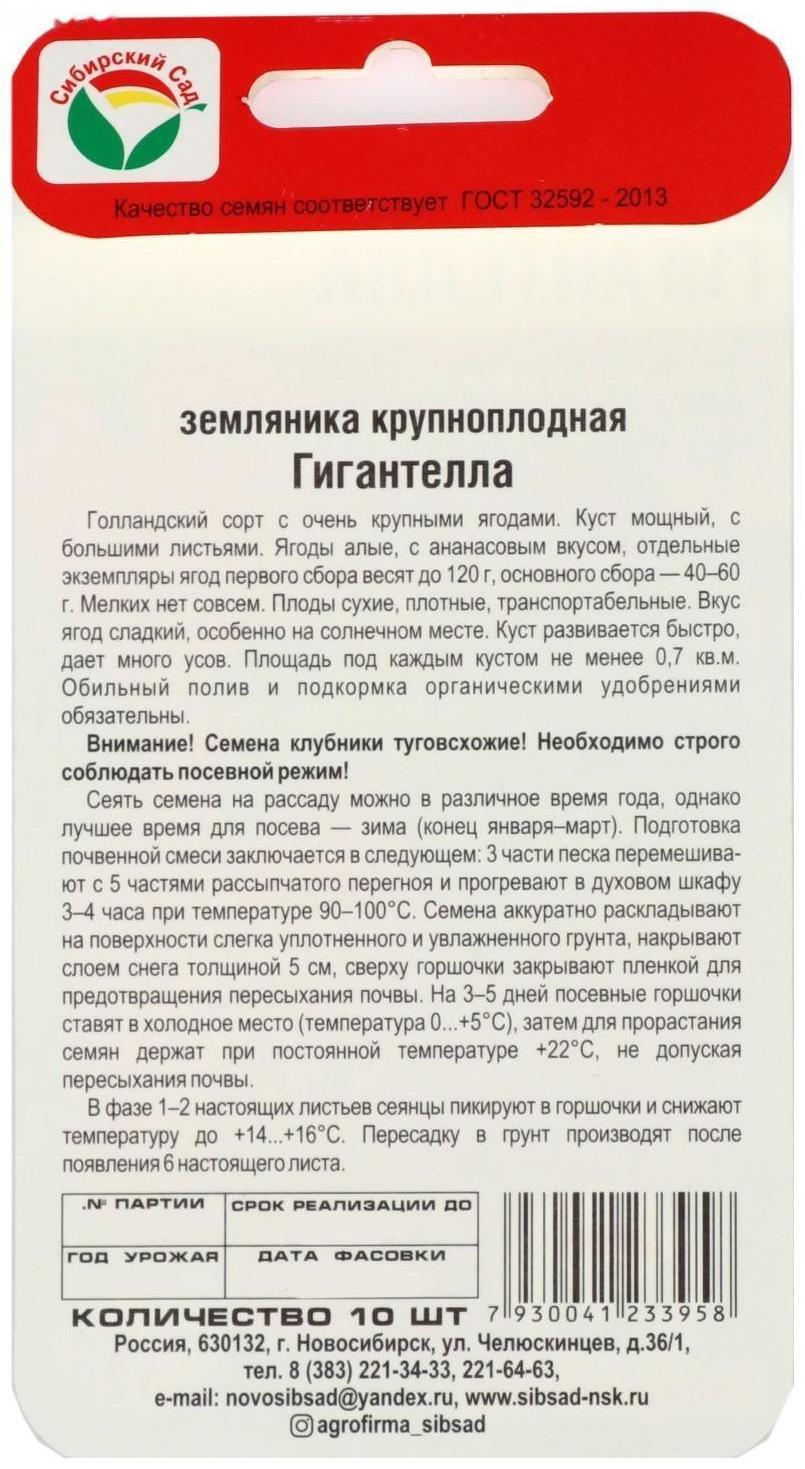 Семена Клубника 