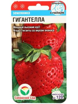 Семена Клубника 