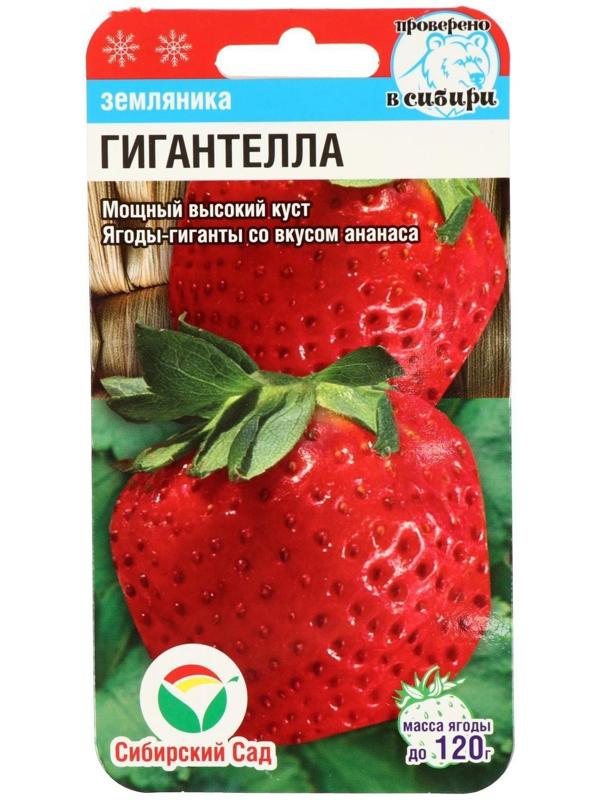 Семена Клубника 