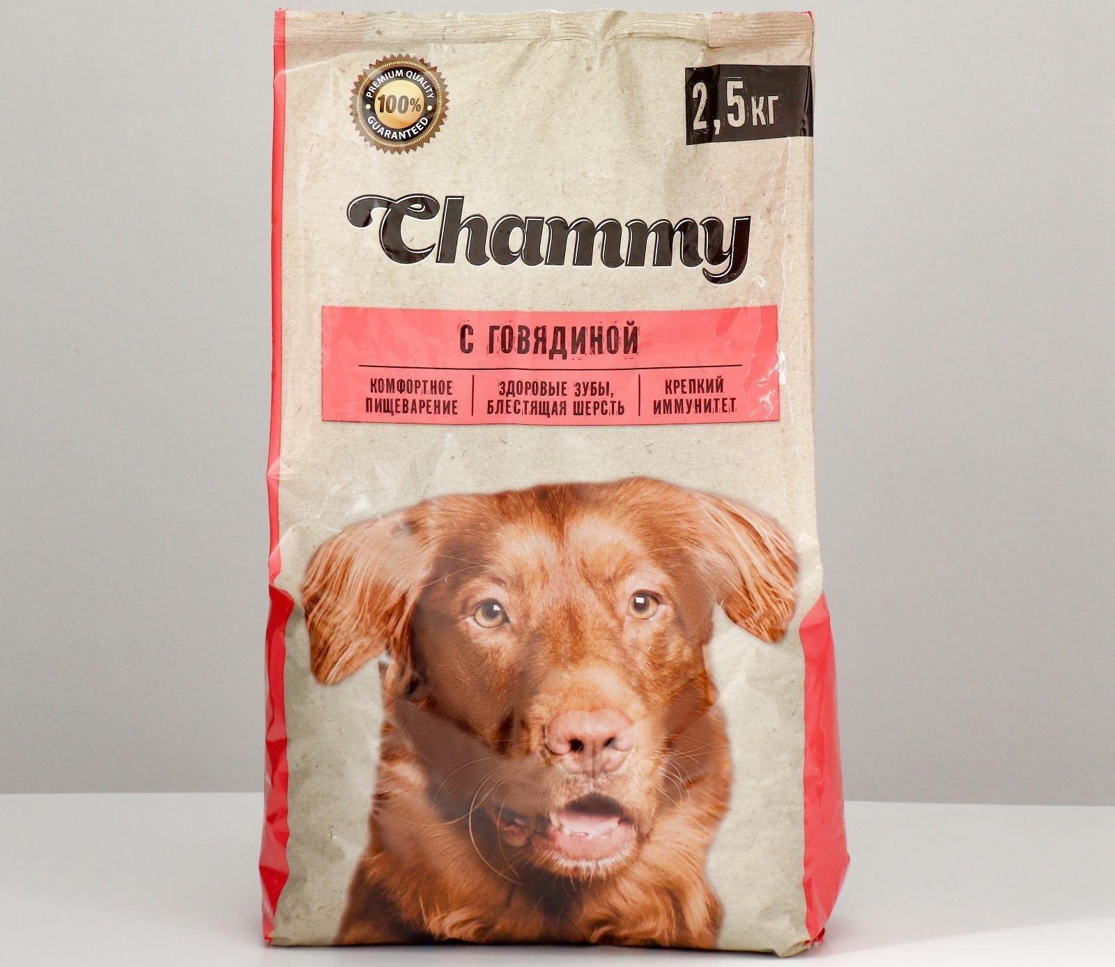 Сухой корм Chammy для собак мелких пород, говядина, 2,5 кг