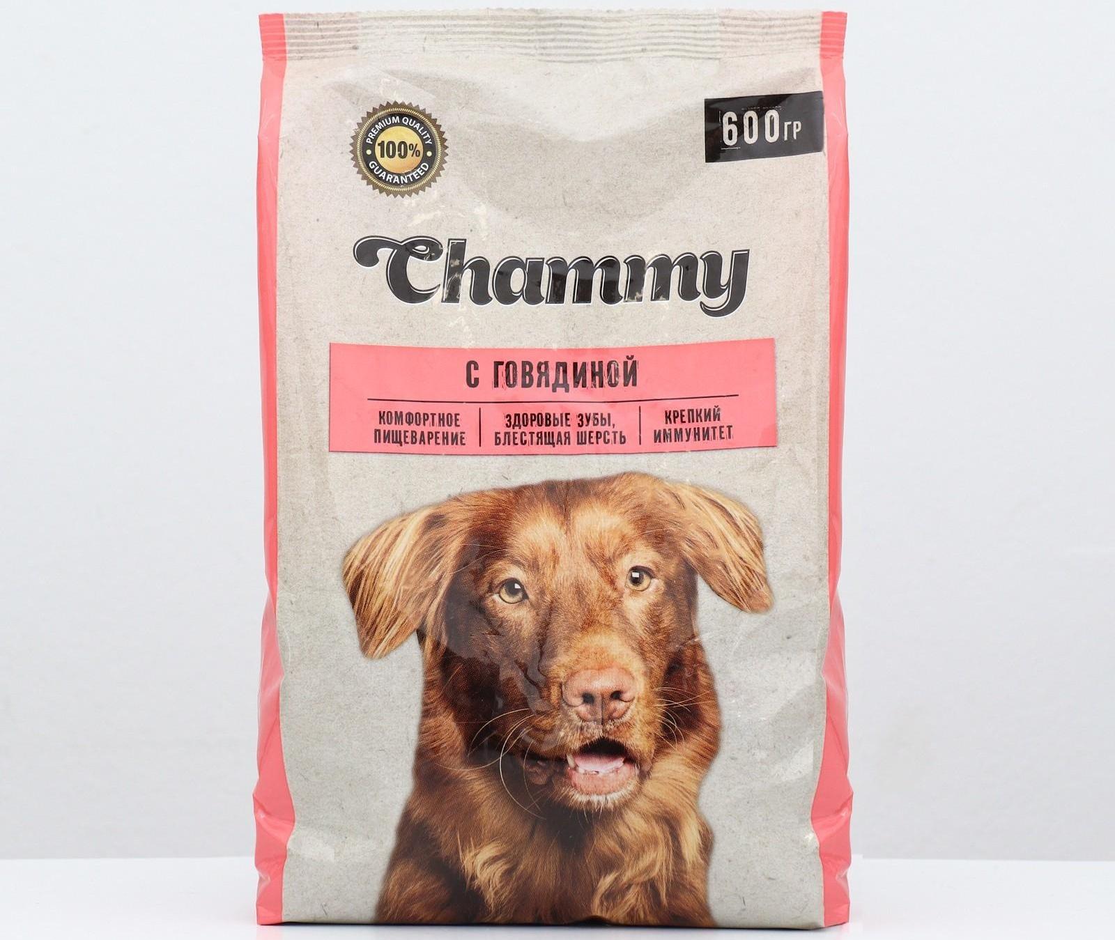 Сухой корм Chammy для собак мелких пород, говядина, 600 г