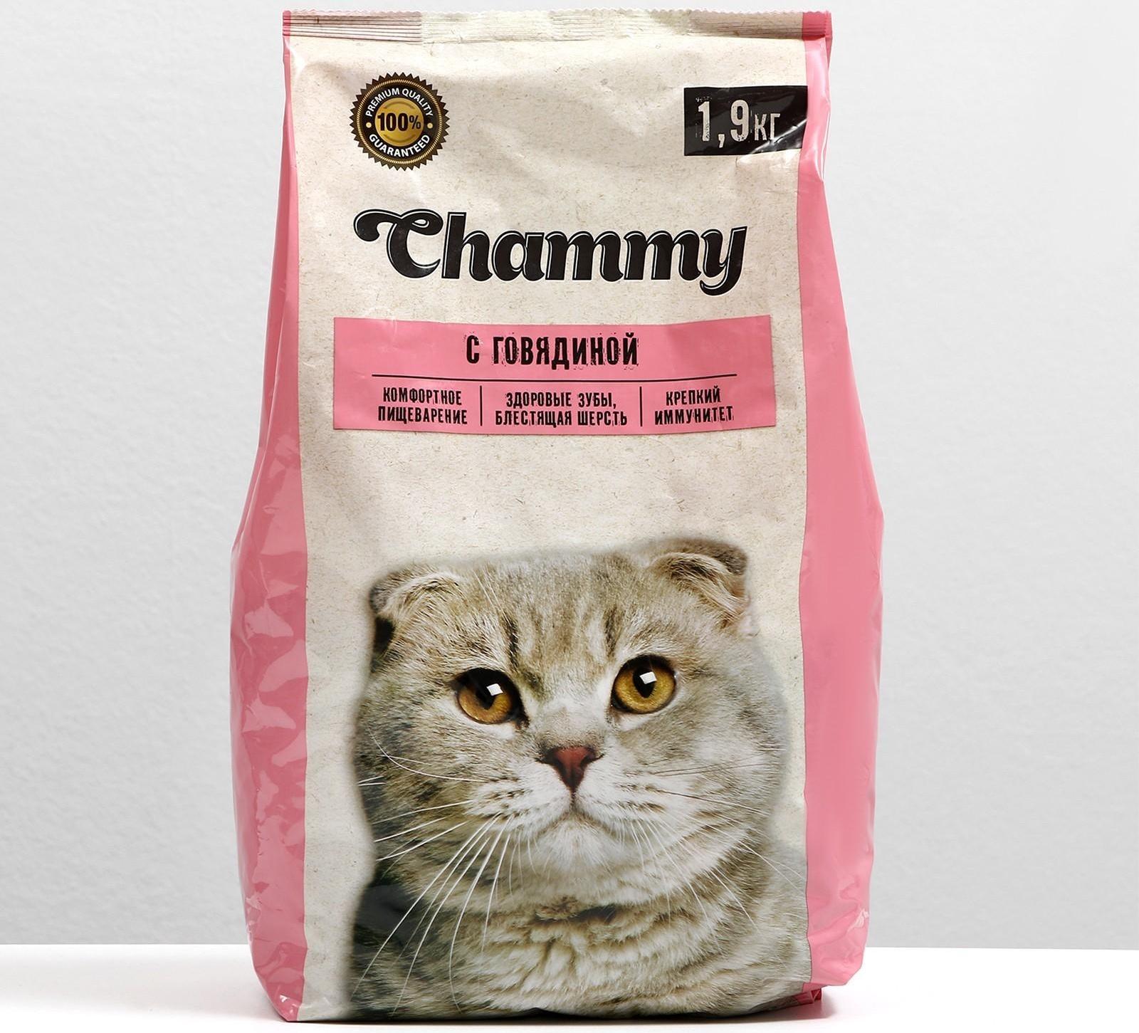 Сухой корм Chammy для кошек, говядина, 1,9 кг