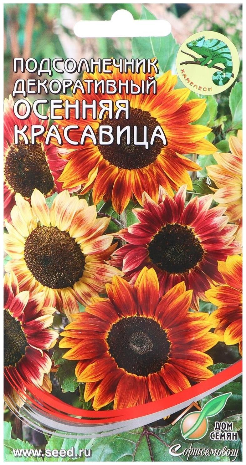 Семена цветов Подсолнечник декоративный 