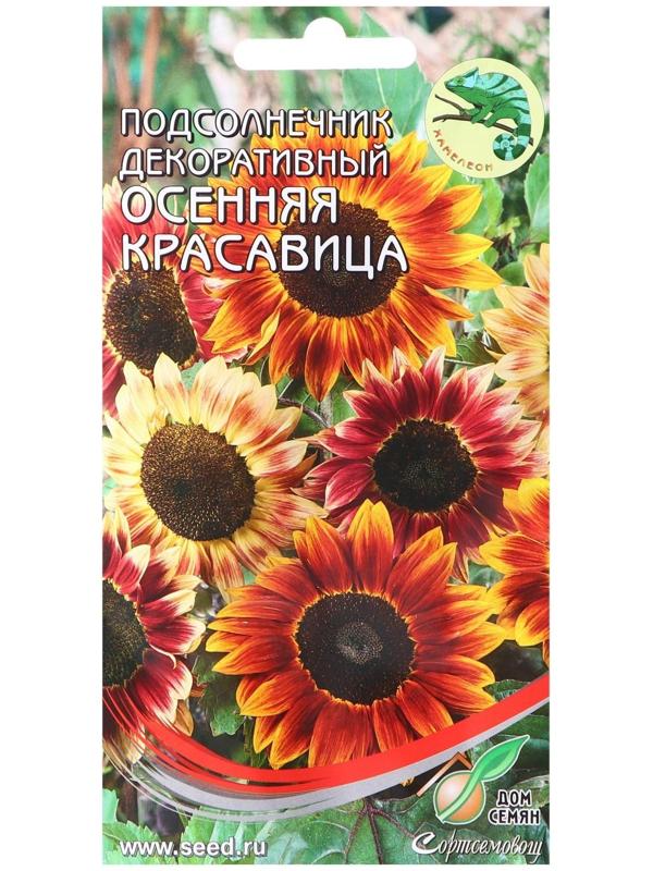 Семена цветов Подсолнечник декоративный 