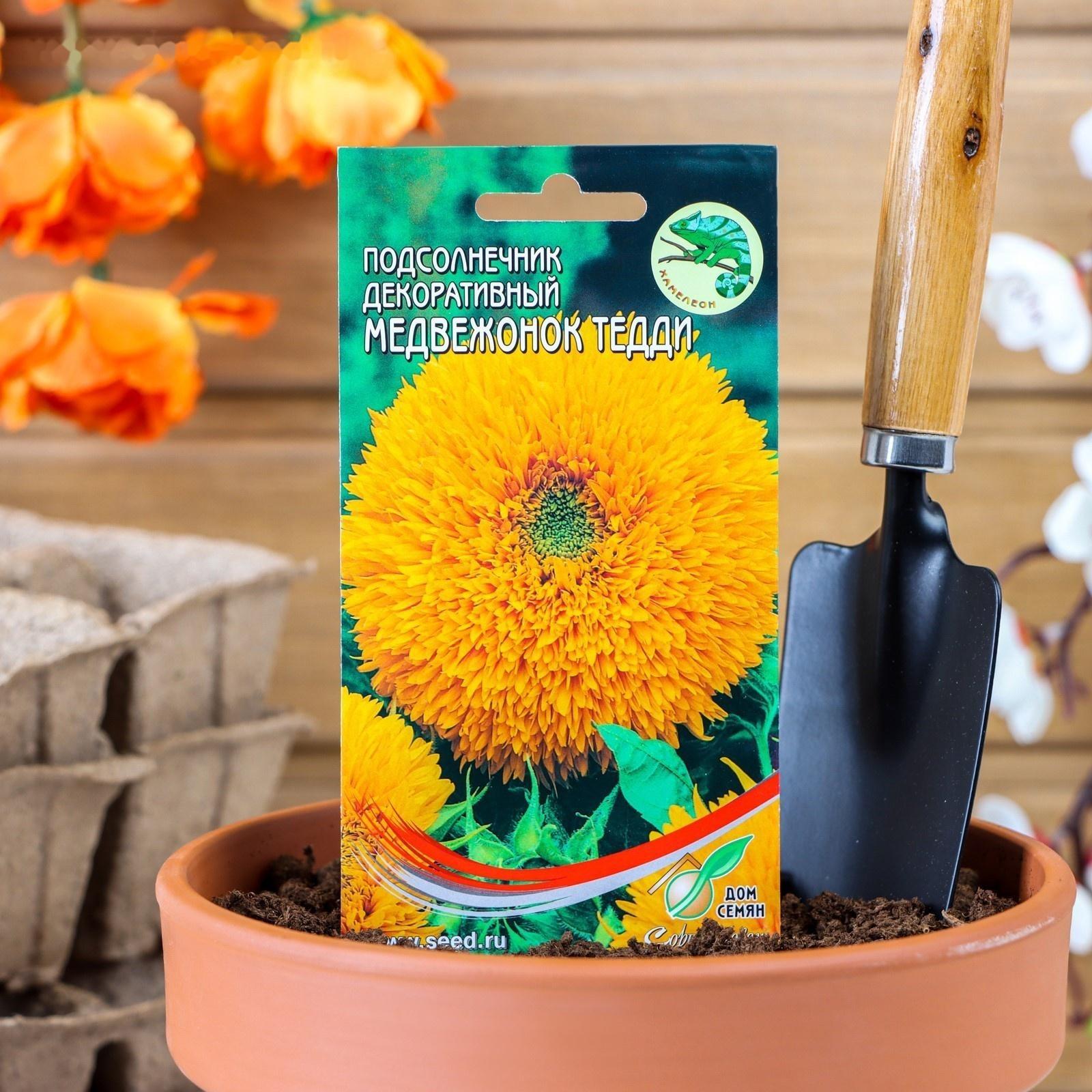 Семена цветов Подсолнечник 