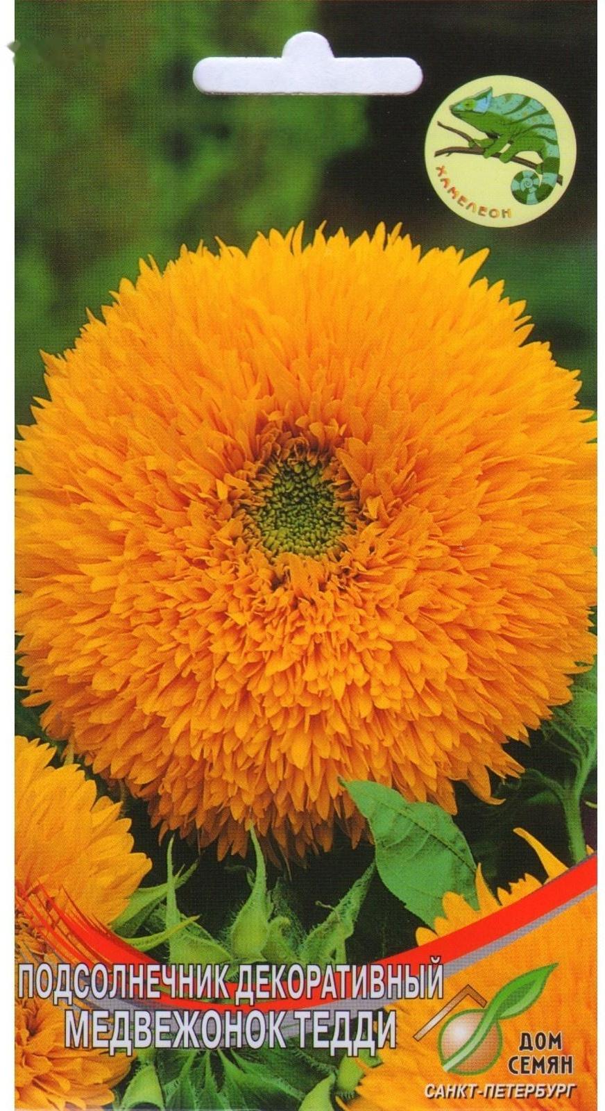 Семена цветов Подсолнечник 