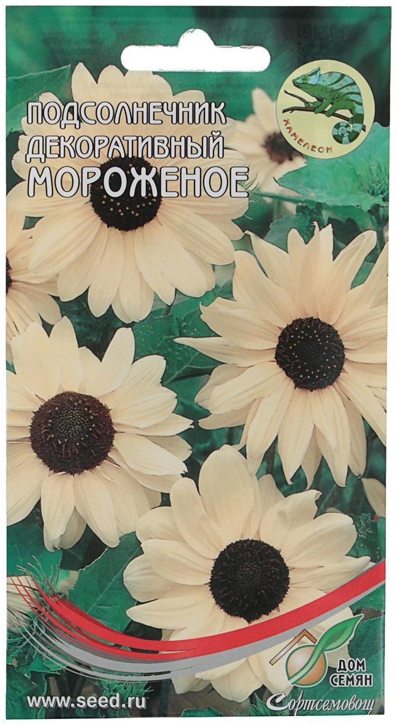 Семена цветов Подсолнечник декоративный кремово-белый 