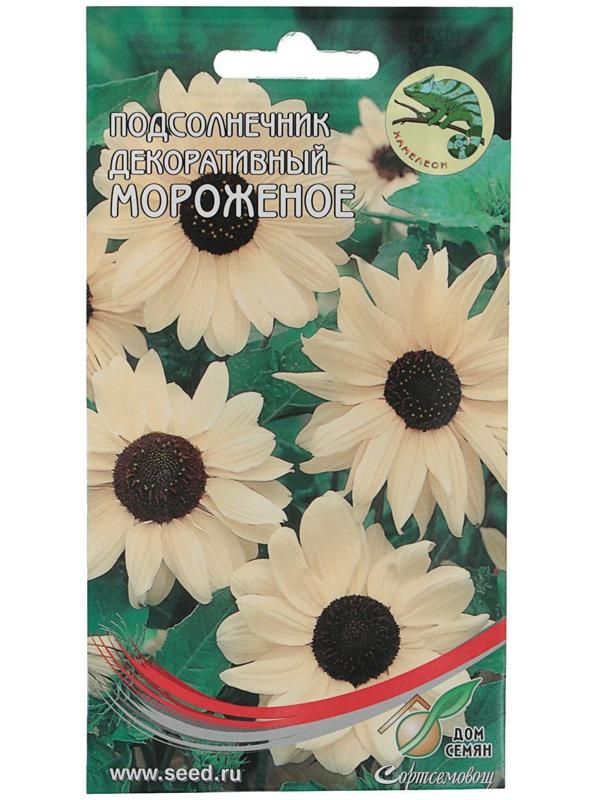 Семена цветов Подсолнечник декоративный кремово-белый 