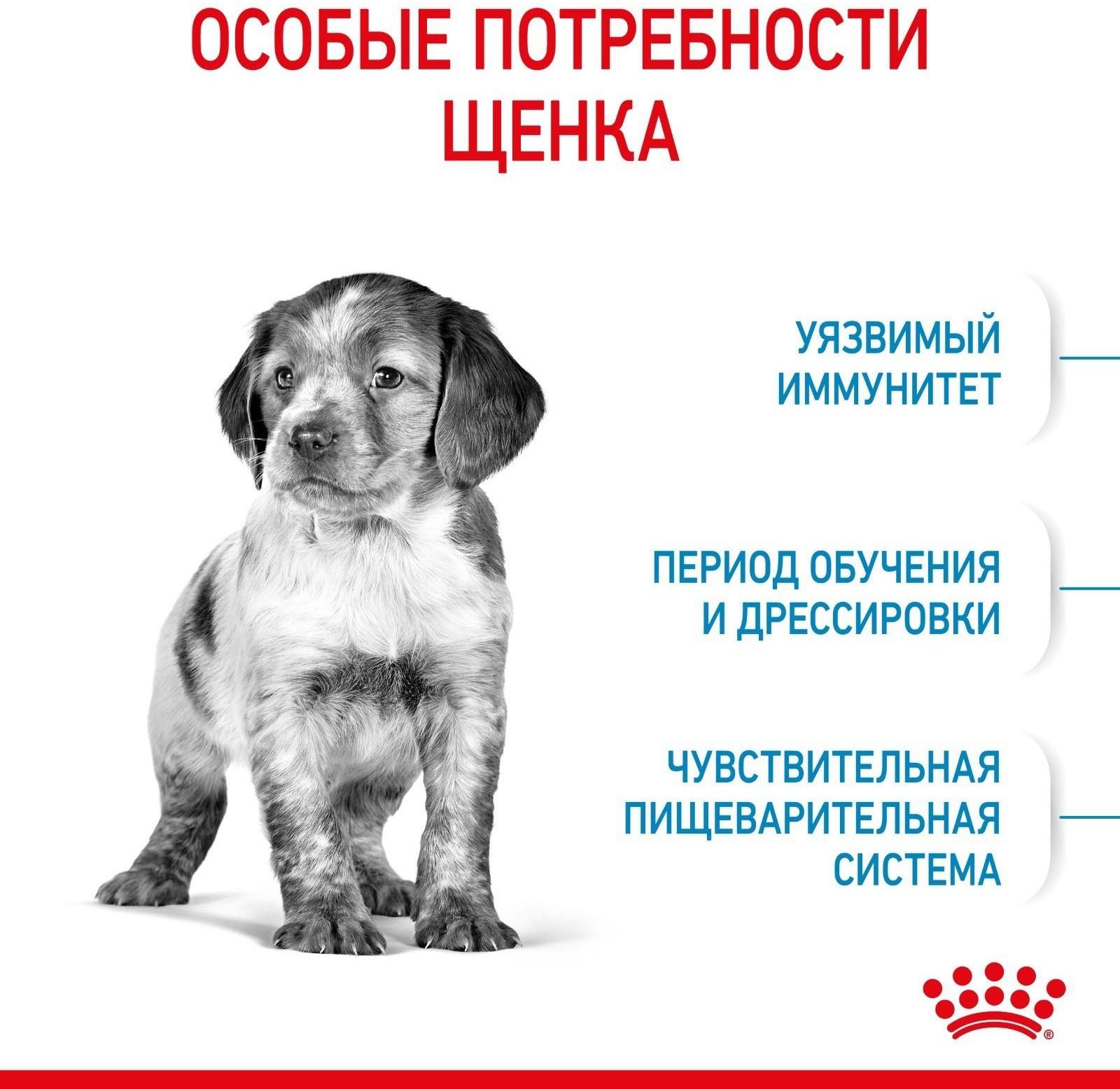 Сухой корм RC Medium Puppy для щенков, 3 кг