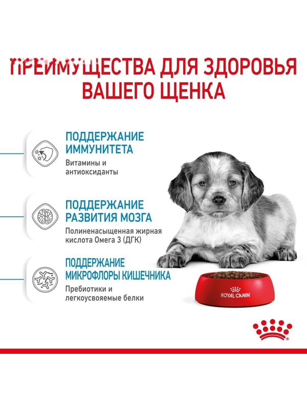 Сухой корм RC Medium Puppy для щенков, 3 кг