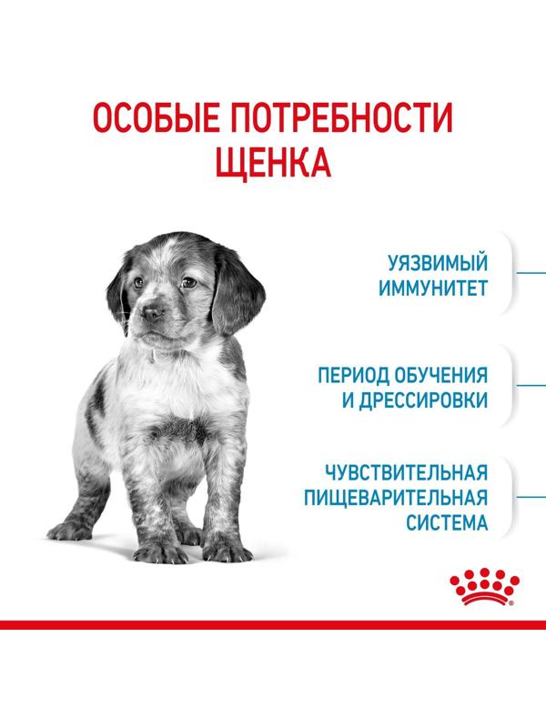 Сухой корм RC Medium Puppy для щенков, 3 кг