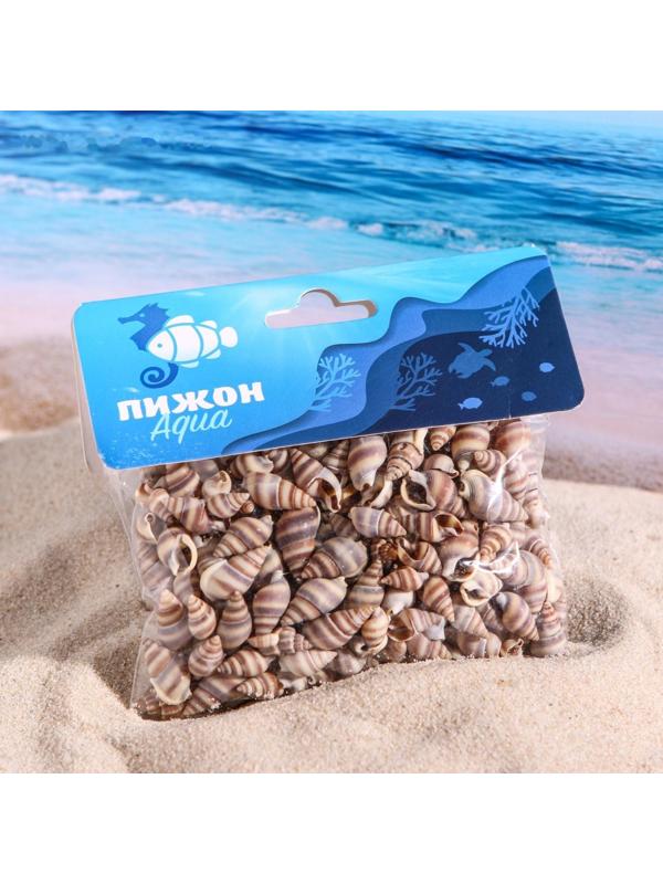 Набор ракушек, 1 - 2 см, 100 г