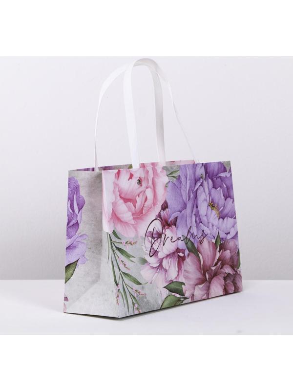 Пакет подарочный «Dreams», 30 × 20 × 10 см