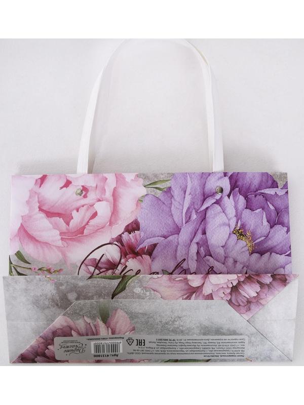 Пакет подарочный «Dreams», 30 × 20 × 10 см