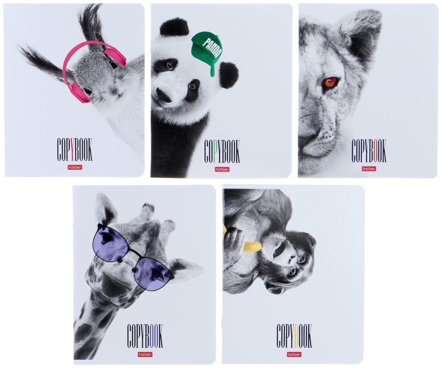 Тетрадь 48 листов, в клетку, 