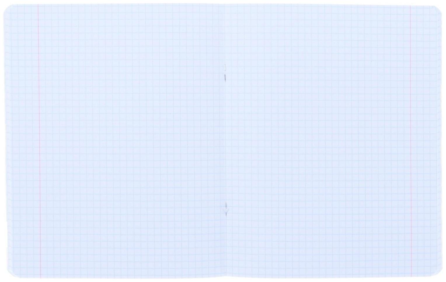 Тетрадь 48 листов, в клетку, 