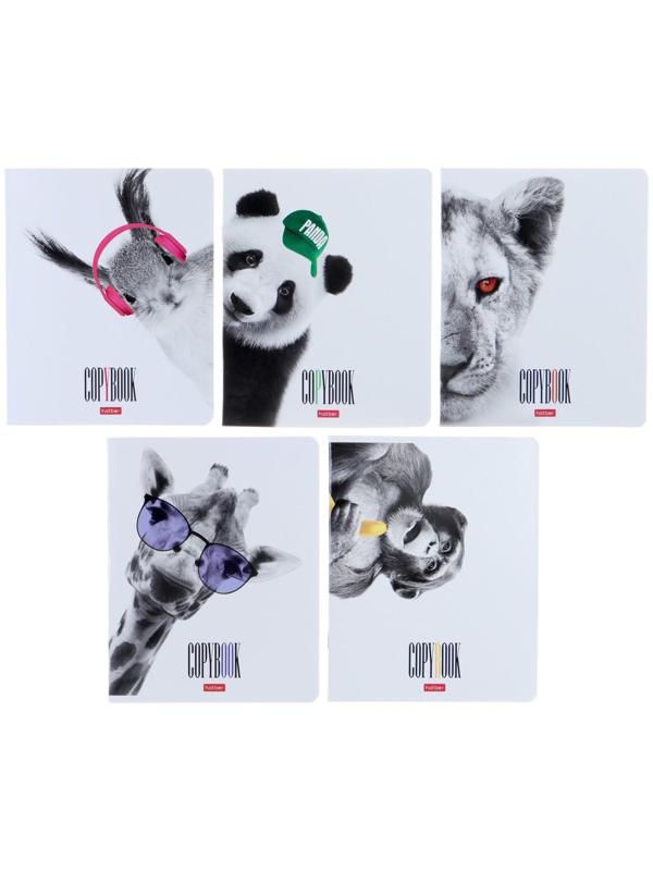 Тетрадь 48 листов, в клетку, 