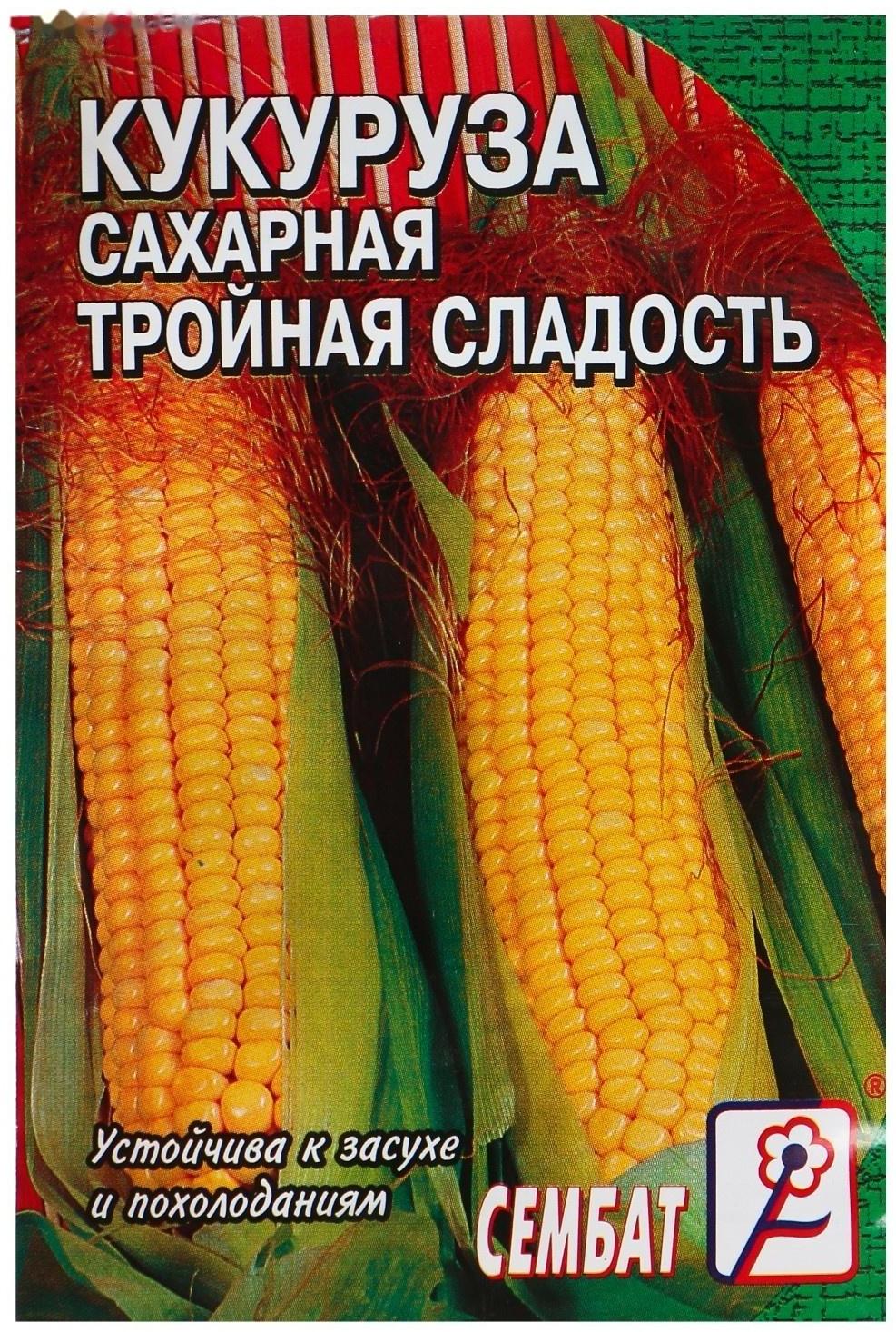 Семена Кукуруза  сахарная 