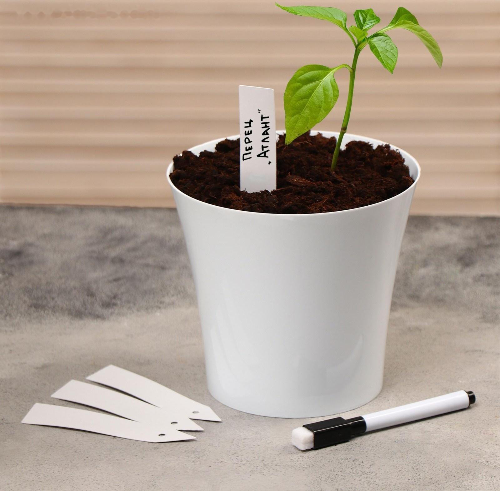 Бирки садовые для маркировки, 10 см, набор 20 шт., маркер, пластик, белые, Greengo