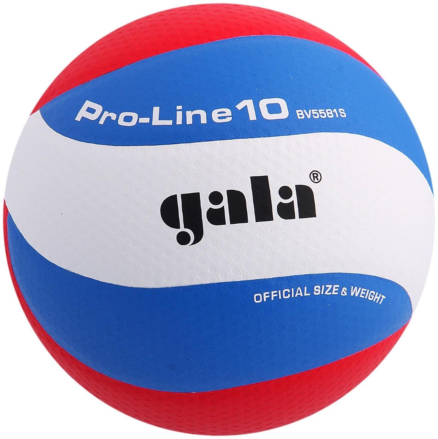 Мяч волейбольный Gala Pro-Line10, BV5581S, размер 5, клееный