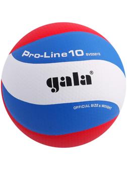 Мяч волейбольный Gala Pro-Line10, BV5581S, размер 5, клееный