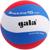 Мяч волейбольный Gala Pro-Line10, BV5581S, размер 5, клееный