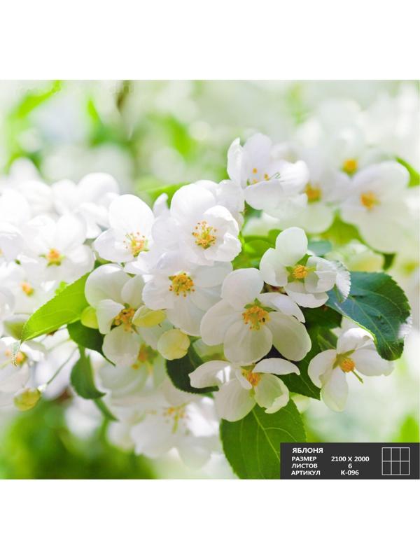 Фотообои К-096 «Яблоня» (6 листов), 210 × 200 см