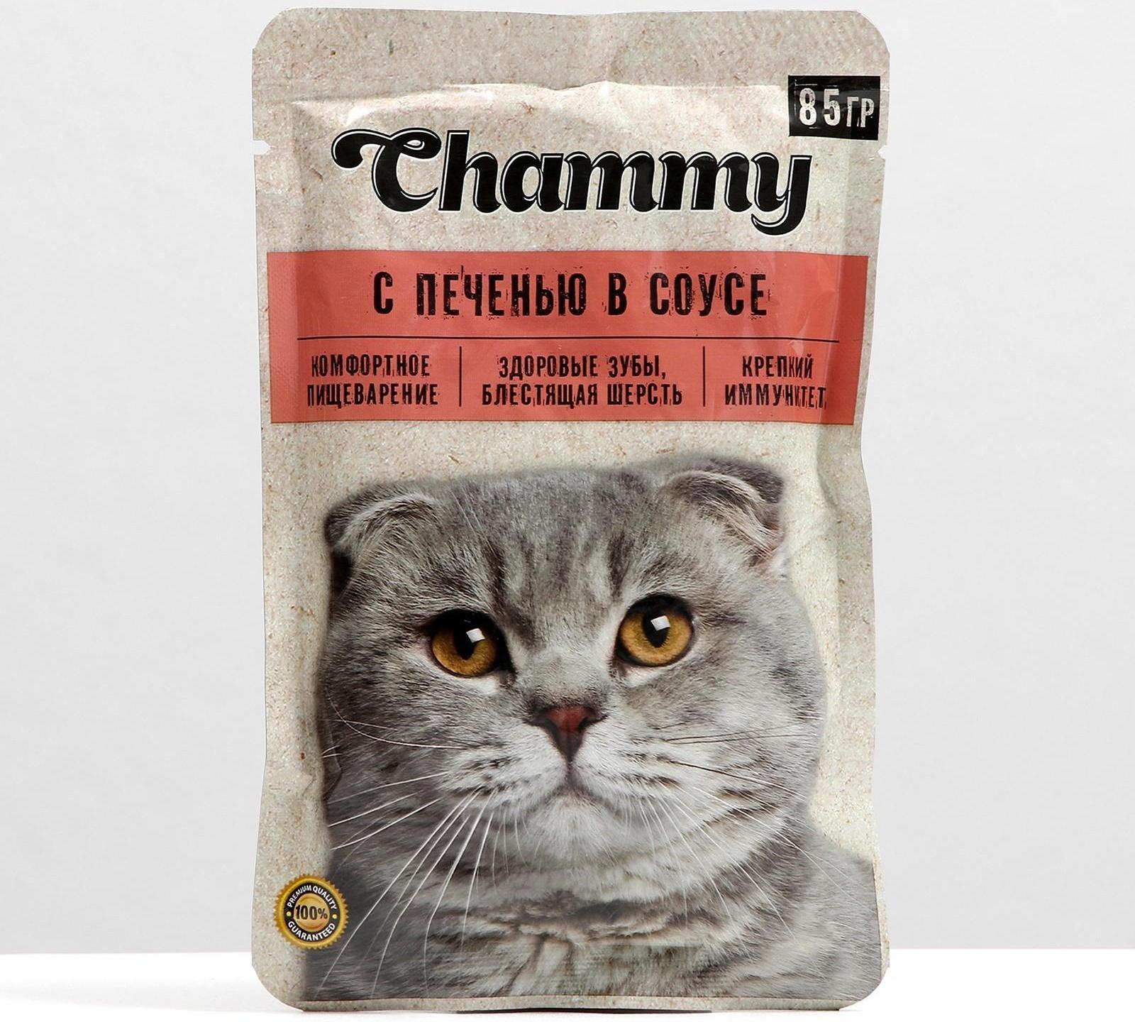 Влажный корм Chammy для кошек, печень, кусочки в соусе, пауч, 85 г