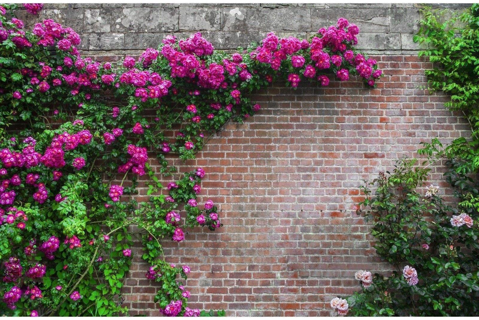 Фотобаннер, 250 × 200 см, с фотопечатью, люверсы шаг 1 м, «Кирпичная стена»