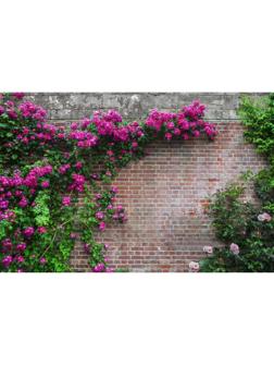 Фотобаннер, 250 × 200 см, с фотопечатью, люверсы шаг 1 м, «Кирпичная стена»