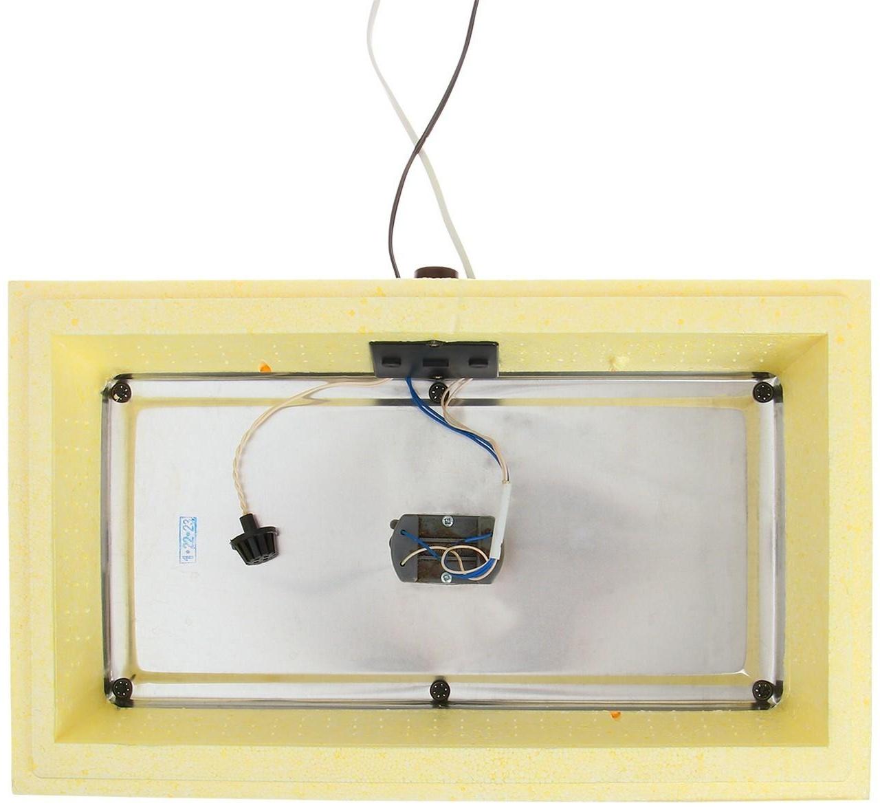 Инкубатор бытовой «Золушка», на 28 яиц, автоматический переворот, 220 В/12 В