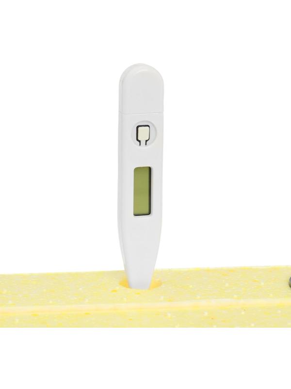 Инкубатор бытовой «Золушка», на 28 яиц, автоматический переворот, 220 В/12 В