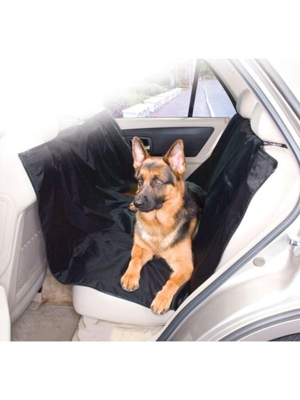 Набор для перевозки собаки 