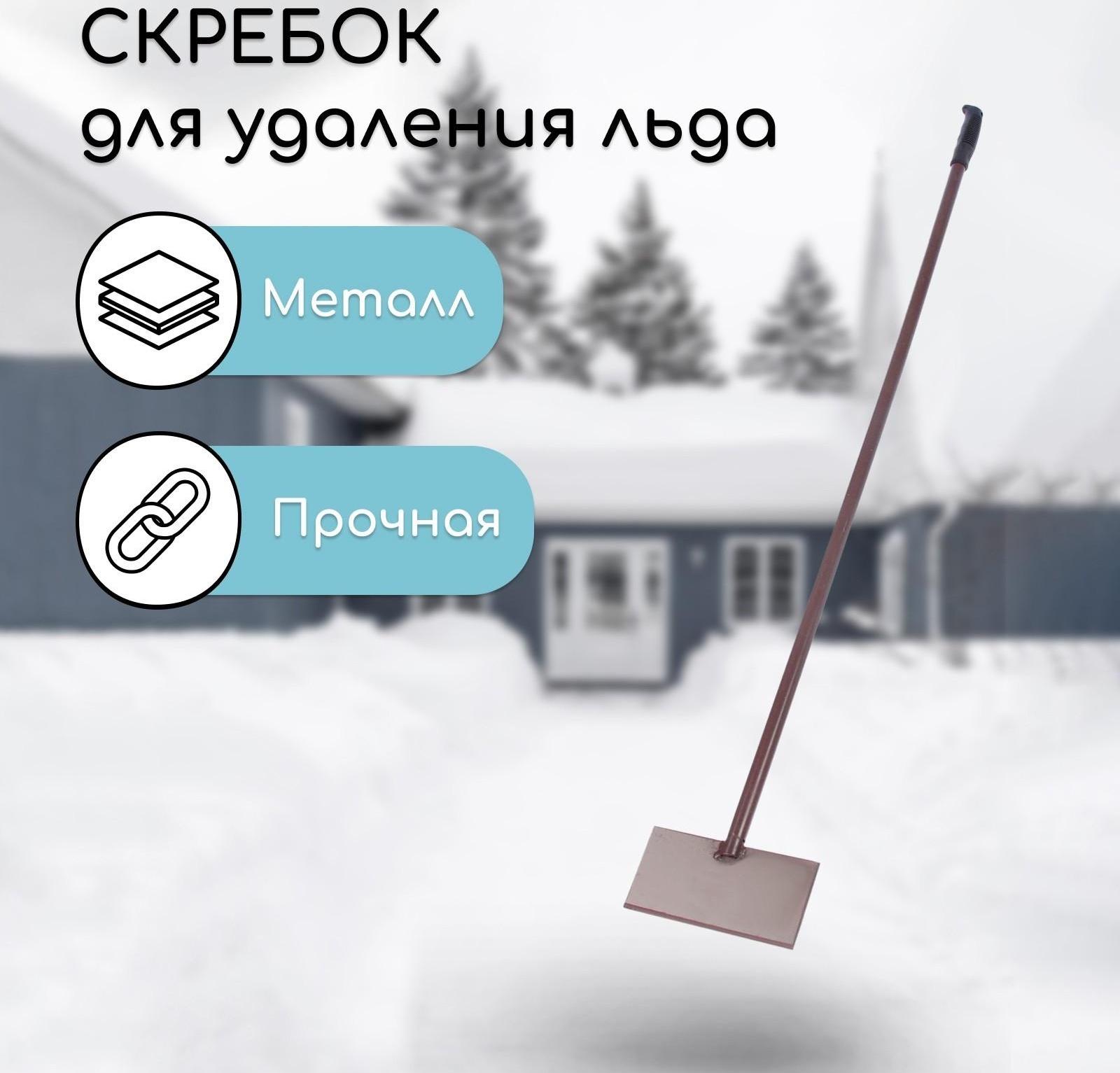 Скребок «Антарктика», 200 × 100 × 4 мм, с металлическим черенком, с пластиковой ручкой