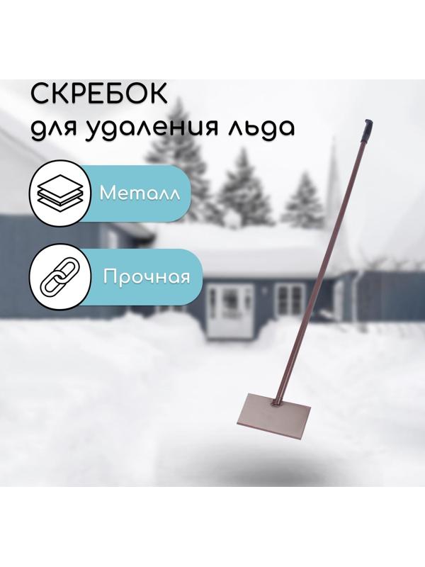 Скребок «Антарктика», 200 × 100 × 4 мм, с металлическим черенком, с пластиковой ручкой