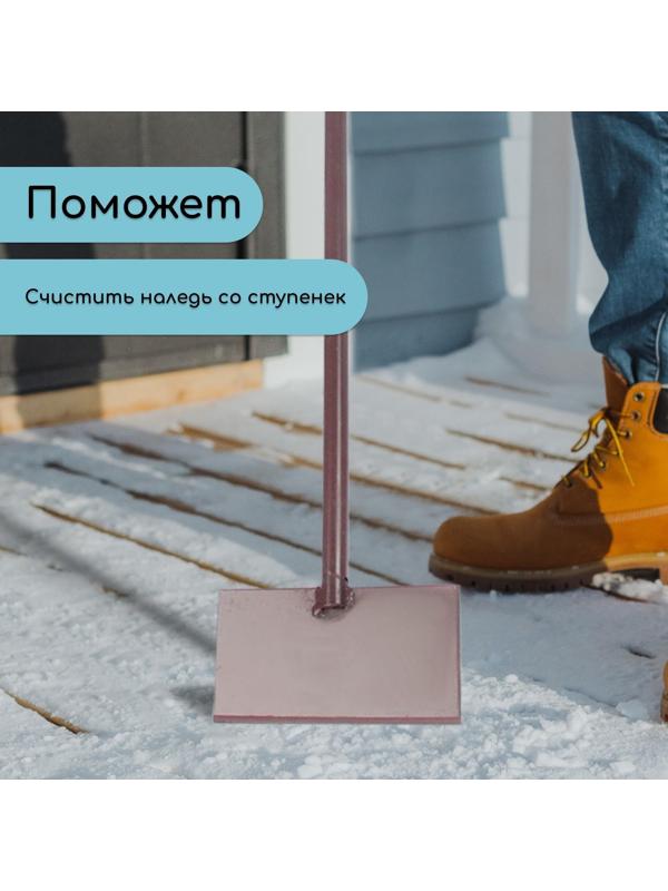 Скребок «Антарктика», 200 × 100 × 4 мм, с металлическим черенком, с пластиковой ручкой