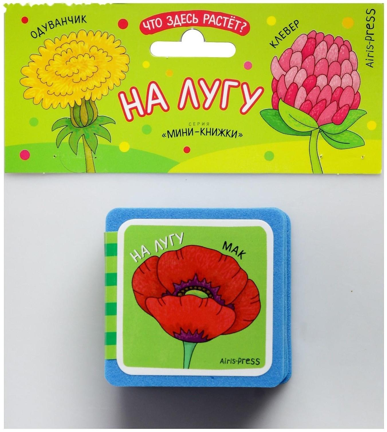 Мини-книжки. Что здесь растёт? На лугу