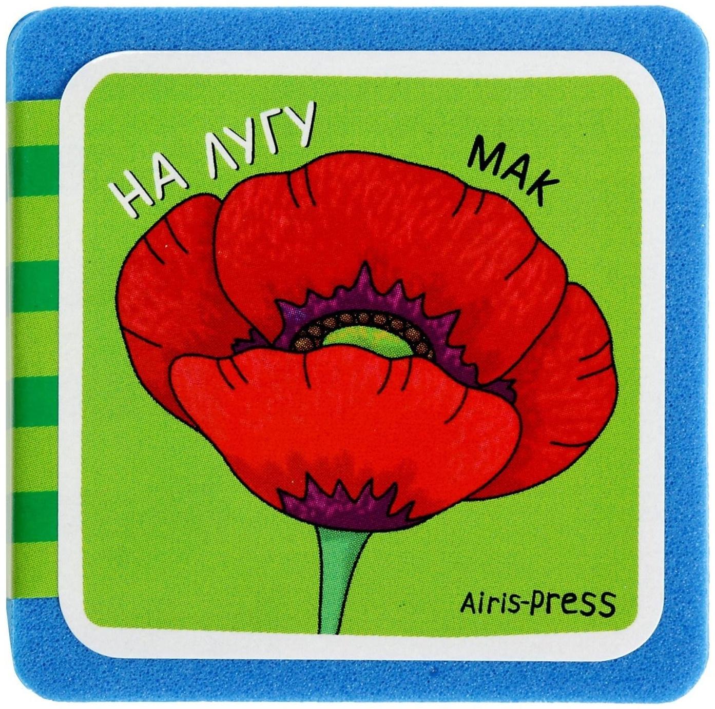 Мини-книжки. Что здесь растёт? На лугу